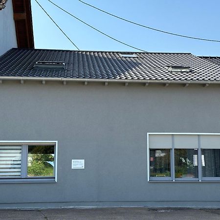 Grosse Ferienwohnung Gaestehaus Neubau Merzig 120M2 Εξωτερικό φωτογραφία